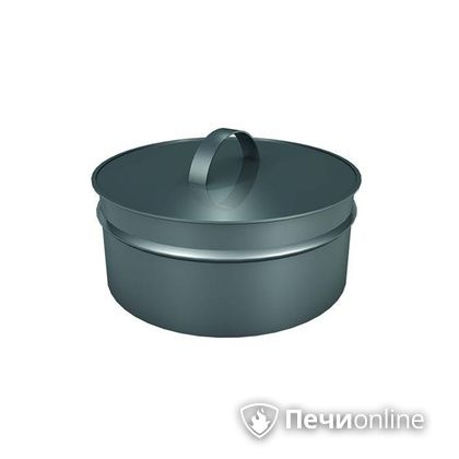 Заглушки Теплов и Сухов Заглушка ревизии Термо-Р 304 0.5 D250(150) в Красноярске