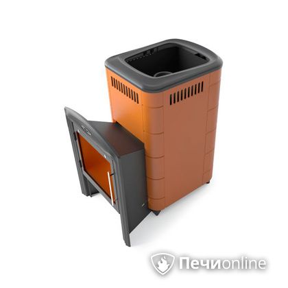 Дровяная печь-каменка TMF Тунгуска Cast Витра терракота в Красноярске