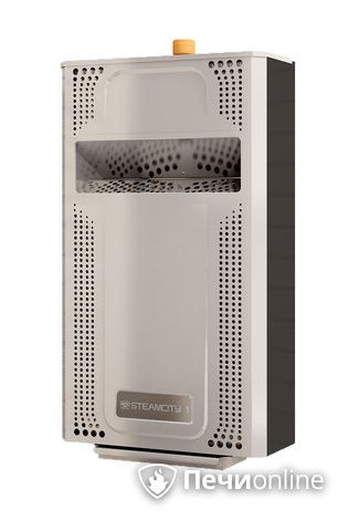 Электрическая печь Теплодар SteamCity-2 в Красноярске