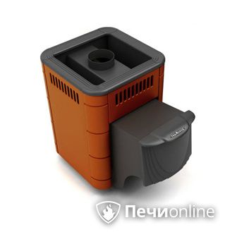 Дровяная банная печь TMF Оса Carbon терракота дверь антрацит в Красноярске